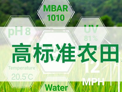 水肥一體化140畝滴灌項(xiàng)目